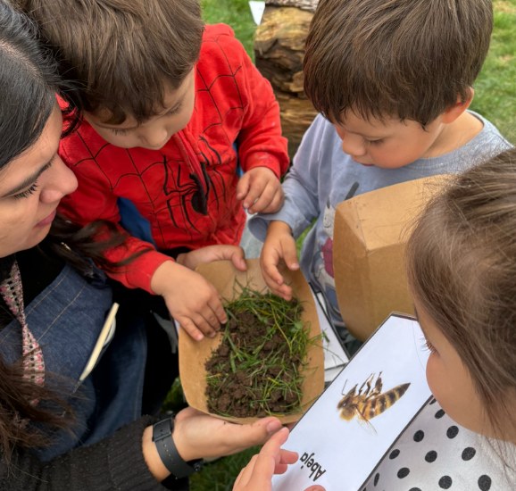 Niños observan una bandeja de pasto junto a la lámina de una abeja